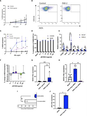 Manipulation of tissue factor-mediated basal PAR-2 signalling on macrophages determines sensitivity for IFNγ responsiveness and significantly modifies the phenotype of murine DTH